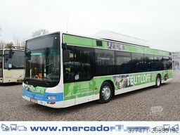 MAN A20 / Lion´s City Ü / CNG / EEV