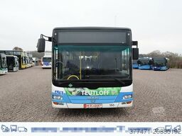 MAN A20 / Lion´s City Ü / CNG / EEV
