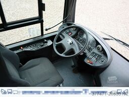 MAN A20 / Lion´s City Ü / CNG / EEV