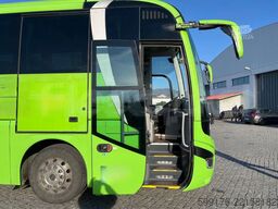 MAN Lion's Coach