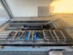 SCANIA S500 Autotransport FSN