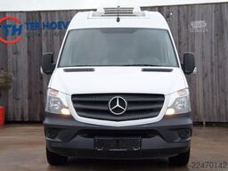 MERCEDES-BENZ Sprinter 313 CDi Kühlung 0° Automatik Thermoking