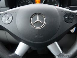 MERCEDES-BENZ Sprinter 313 CDi Kühlung 0° Automatik Thermoking