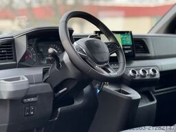 RENAULT Master ZF 9-GANG AUTOM. 2025er STX, 3-Haras