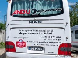 MAN Neoplan Lions Coach L