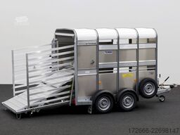 Ifor Williams TA5 | 8x6 | DOPPELSTOCK 241X156X183CM VIEHANHÄNGER | 2X LÜFTUNG