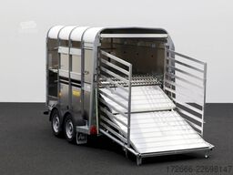 Ifor Williams TA5 | 8x6 | DOPPELSTOCK 241X156X183CM VIEHANHÄNGER | 2X LÜFTUNG