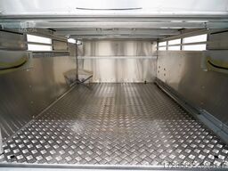 Ifor Williams TA5 | 8x6 | DOPPELSTOCK 241X156X183CM VIEHANHÄNGER | 2X LÜFTUNG
