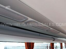 Iveco Evadys 12m / Rear door / N.T / NEW!! / 3X UNITS