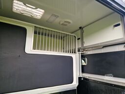 Renault Master STX S3 automaat paardenwagen Pro-Safety ...