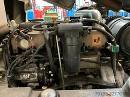 Thwaites 6T