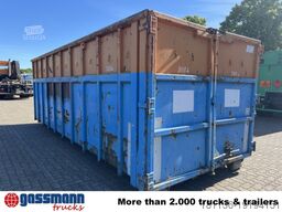 Hagemann & Partner C 29 Abrollcontainer mit
