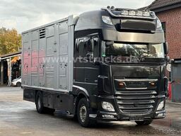 DAF XF 530 4x2 Finkl 2.Stock Viehaufbau