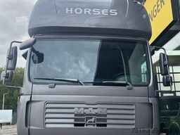 MAN TGL 8.180 Pferdetransporter LKW Wohnabteil 7,5t
