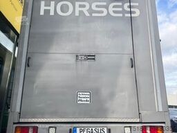MAN TGL 8.180 Pferdetransporter LKW Wohnabteil 7,5t