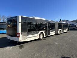 MAN A 23 Lions City G