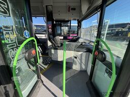 MAN A 23 Lions City G