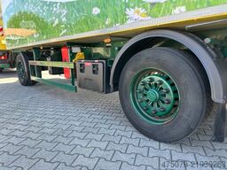 MERCEDES-BENZ Actros 2542 / Blumen / Heizung / Isoliert