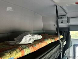 MAN TGX 26400 Roelofsen 12 Pferde