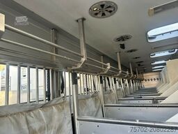 MAN TGX 26400 Roelofsen 12 Pferde