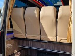 MERCEDES-BENZ 519 und 517 Glasdach XXL 20 Sitze Stock