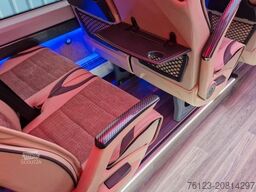 MERCEDES-BENZ 519 und 517 Glasdach XXL  20 Sitze Stock