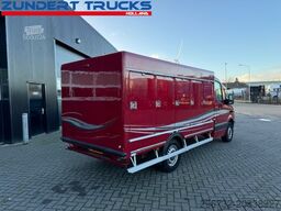 Mercedes-Benz SPRINTER 313 VRIESWAGEN