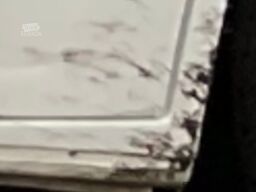 Fiat Weinsberg Carabus 600 K 4 Schlafplätze | Voll ausgestattet