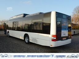 MAN A21 / Lion´s City / Klima / CNG / EEV