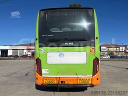 MAN Lion's Coach