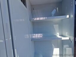 Renault Master MTM S3 EXCLUSIVE ! Nieuw model paardenwa...