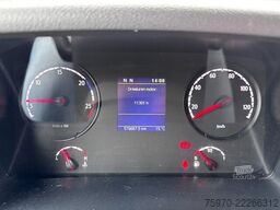 Scania P250 ECF BOX + TRS TWIN-COOL + DHOLLANDIA