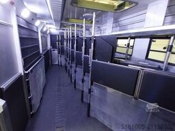 Volvo FH540 Occasion 9 paards paardenvrachtwagen met ...