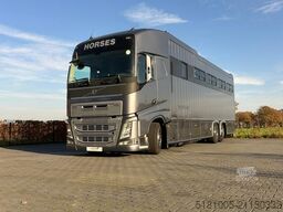 Volvo FH540 Occasion 9 paards paardenvrachtwagen met ...