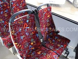 Mercedes-Benz Vario O813 / Lift / Euro 5 /