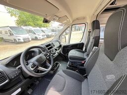 CARADO CV 600 Optik Paket 2, MJ 2025, PEUGEOT