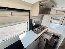 CARADO CV 600 Optik Paket 2, MJ 2025, PEUGEOT