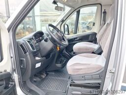 CARADO pro+ T 338 Automatik, Navi, RFK, SAT&TV