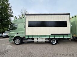 DAF CF 370 Mega Volume Combi Dhollandia 2000KG Pact...
