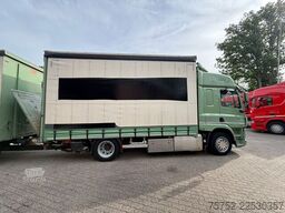 DAF CF 370 Mega Volume Combi Dhollandia 2000KG Pact...