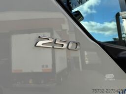 Daf LF 250 E6  Carrier Supra Strom Tür + LBW Kamera