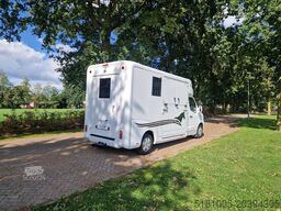 Renault Master Demo Anemone paardenwagen voor 2 paarden...