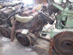 DAF DD575