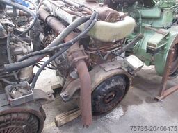 DAF DD575