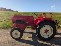 Porsche Junior 108
