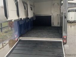 Steinsberger 3-4 Ponys