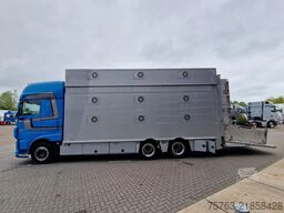 DAF XF 510 6x2 SuperSpaceCab - Livestock Cuppers 3 ...