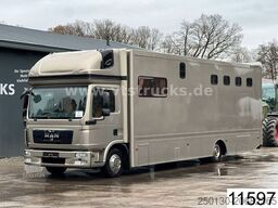 MAN TGL 12.220 4x2 4.Pferdetransporter m. Wohnabteil