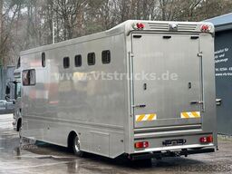 MAN TGL 12.220 4x2 4.Pferdetransporter m. Wohnabteil