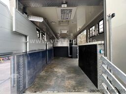 MAN TGL 12.220 4x2 4.Pferdetransporter m. Wohnabteil